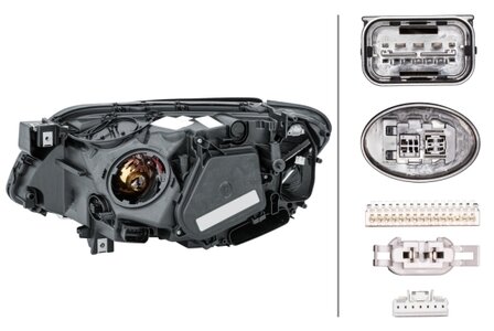 Hella Koplamp BMW 7 (F01/02) 2008- Rechts Xenon | 1EL 354 689-021